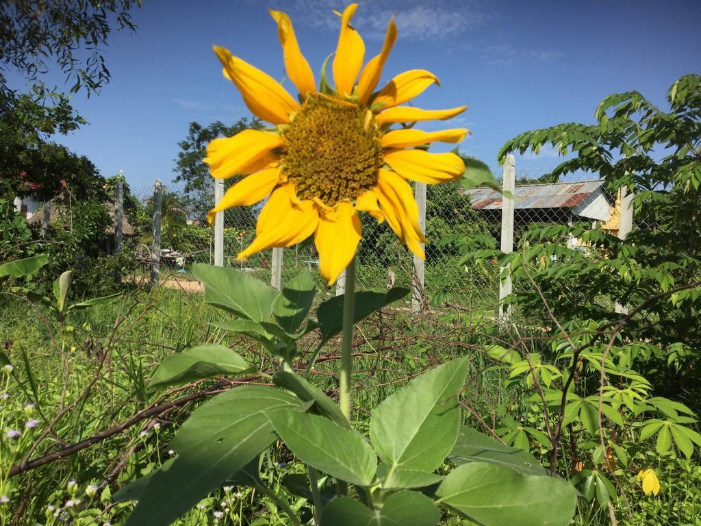 Bunyong Homestay Siem Reap Exterior photo